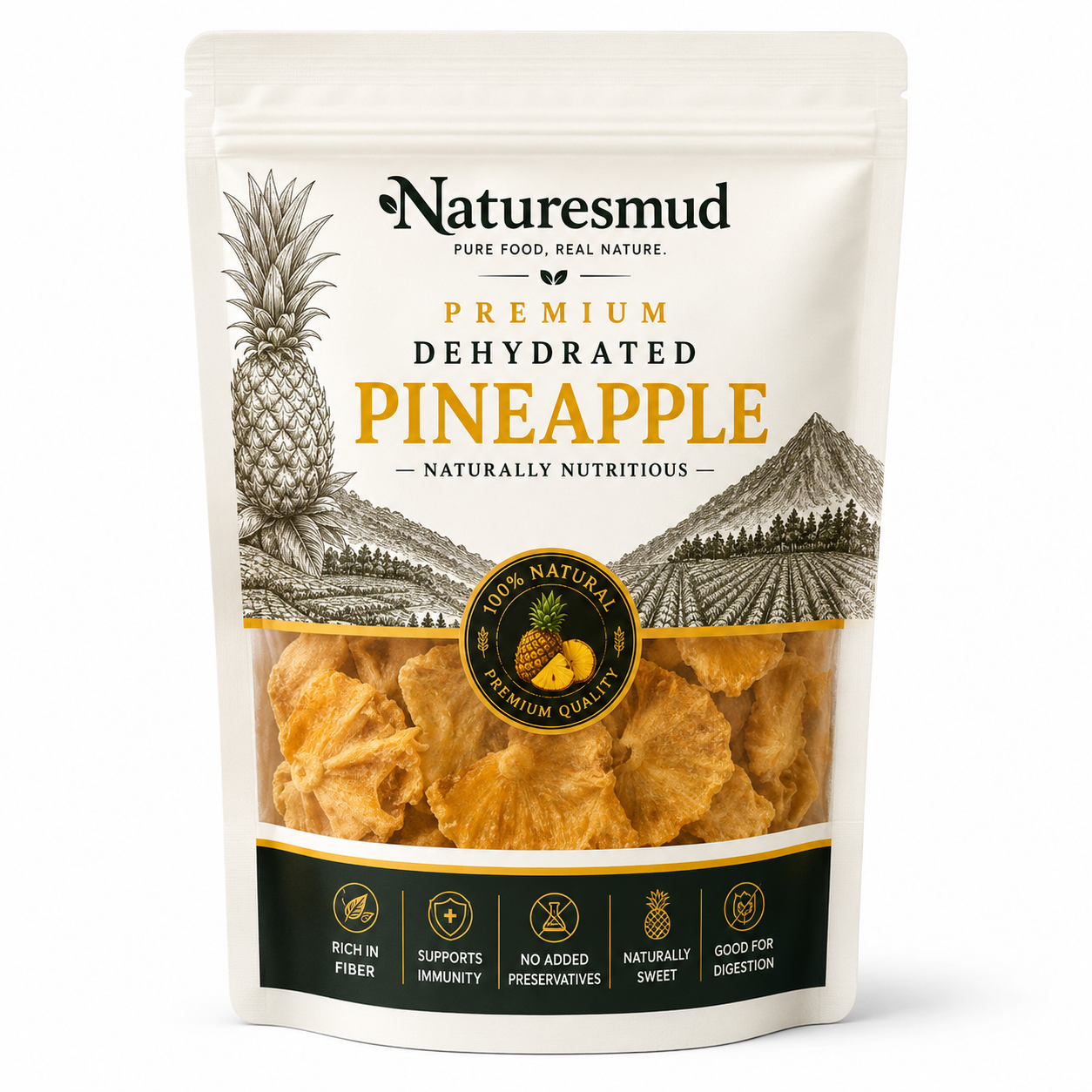Natures Mud Dehydrated Pineapple (100 Gm)