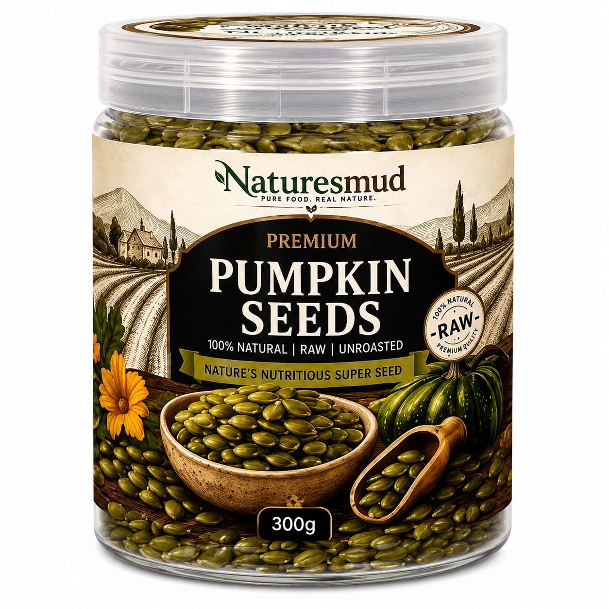 Natures Mud Pumpkin Seeds (300 Gm)